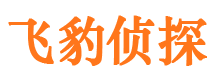 伊春私人调查